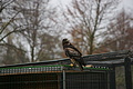 DSC03481 - Bernhard Saalfeld
