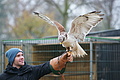 DSC03517 - Bernhard Saalfeld