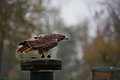 DSC03541 - Bernhard Saalfeld