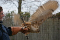DSC03563 - Bernhard Saalfeld