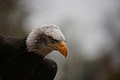 DSC03580 - Bernhard Saalfeld