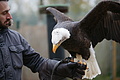 DSC03581 - Bernhard Saalfeld