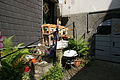 DSC06140 - Bernhard Saalfeld