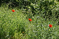 DSC06142 - Bernhard Saalfeld
