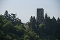 DSC06144 - Bernhard Saalfeld