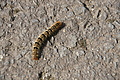 DSC06145 - Bernhard Saalfeld