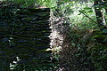 DSC06156 - Bernhard Saalfeld