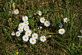 DSC06161 - Bernhard Saalfeld