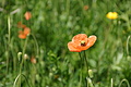 DSC06163 - Bernhard Saalfeld