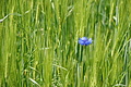 DSC06167 - Bernhard Saalfeld
