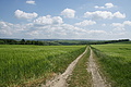 DSC06172 - Bernhard Saalfeld