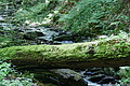 DSC06190 - Bernhard Saalfeld
