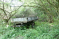 DSC06201 - Bernhard Saalfeld