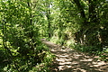 DSC06223 - Bernhard Saalfeld
