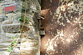 DSC06234 - Bernhard Saalfeld
