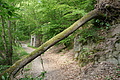 DSC06235 - Bernhard Saalfeld