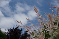 DSC06264 - Bernhard Saalfeld