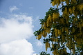 DSC06266 - Bernhard Saalfeld