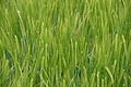 DSC06269 - Bernhard Saalfeld