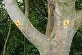 DSC06271 - Bernhard Saalfeld