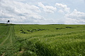 DSC06275 - Bernhard Saalfeld