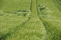 DSC06276 - Bernhard Saalfeld