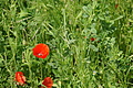 DSC06278 - Bernhard Saalfeld