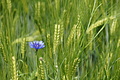 DSC06284 - Bernhard Saalfeld