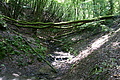 DSC06285 - Bernhard Saalfeld