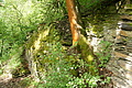 DSC06321 - Bernhard Saalfeld