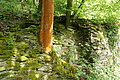 DSC06322 - Bernhard Saalfeld