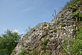 DSC06324 - Bernhard Saalfeld