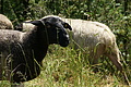 DSC06329 - Bernhard Saalfeld