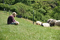 DSC06337 - Bernhard Saalfeld