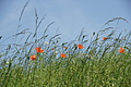 DSC06345 - Bernhard Saalfeld