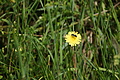 DSC06348 - Bernhard Saalfeld