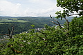DSC06350 - Bernhard Saalfeld