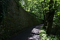 DSC06372 - Bernhard Saalfeld