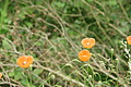 DSC06383 - Bernhard Saalfeld