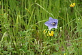 DSC06388 - Bernhard Saalfeld