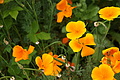 DSC06393 - Bernhard Saalfeld