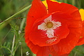 DSC06395 - Bernhard Saalfeld