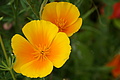 DSC06397 - Bernhard Saalfeld