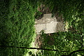 DSC06400 - Bernhard Saalfeld