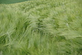 DSC06402 - Bernhard Saalfeld