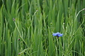DSC06405 - Bernhard Saalfeld