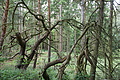 DSC06407 - Bernhard Saalfeld