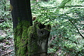 DSC06412 - Bernhard Saalfeld