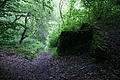 DSC06419 - Bernhard Saalfeld