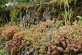 DSC06422 - Bernhard Saalfeld